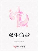 双生命壹