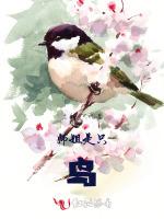 师姐是只鸟