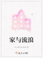 家与流浪