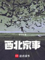 西北家事