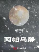 阿帕乌静