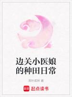 边关小医娘的种田日常