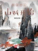 做皇帝从山贼开始