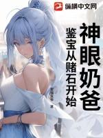 神眼奶爸：鉴宝从赌石开始！