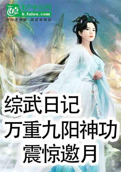 综武：日记，万重九阳，震惊邀月