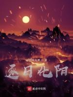 逐日化阳