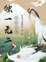 独一无二的修真者