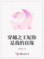 穿越之王妃你是我的良缘