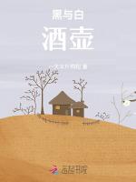 黑与白：酒壶
