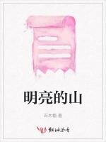 明亮的山