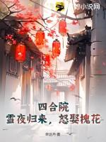 四合院：雪夜归来，怒娶槐花！