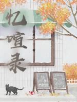 忆喧录