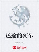迷途的列车