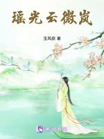 瑶光云微岚