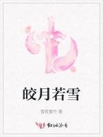 皎月若雪