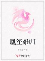 凰笙难归
