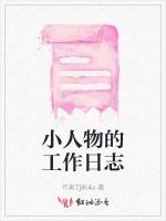 小人物的工作日志