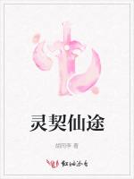 灵契仙途