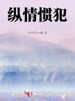 纵情惯犯