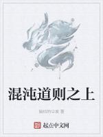 混沌道则之上