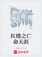 红楼之亡命天涯
