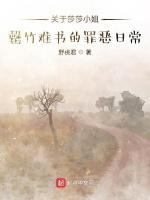 关于莎莎小姐罄竹难书的罪恶日常