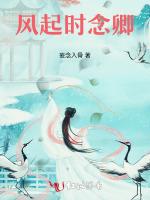 风起时念卿