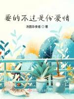要的不过是份爱情