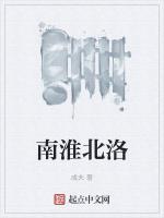 南淮北洛