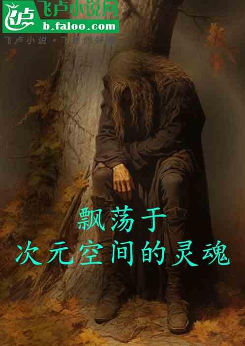 飘荡于次元空间的的灵魂