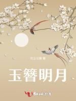 玉簪明月