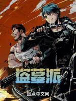 盗墓派