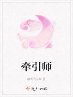 牵引师