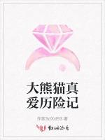 大熊猫真爱历险记