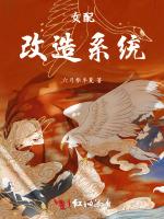 女配改造系统