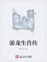 游龙生肖传