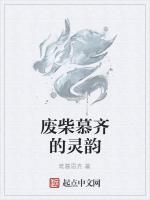 废柴慕齐的灵韵
