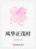 风华正茂时