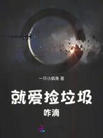就爱捡垃圾咋滴