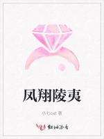 凤翔陵夷