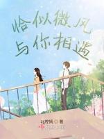 恰似微风与你相遇