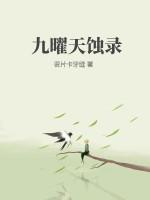 九曜天蚀录