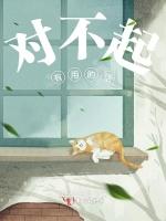 对不起有用的话
