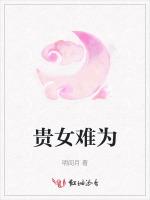 贵女难为