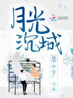 月光沉城