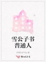 雪公子书普通人