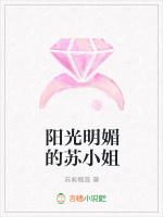 阳光明媚的苏小姐