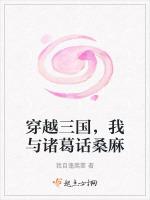 穿越三国，我与诸葛话桑麻