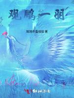 观鹏一羽