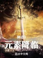神迹3：元素降临